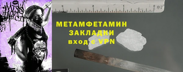 прущие грибы Липки