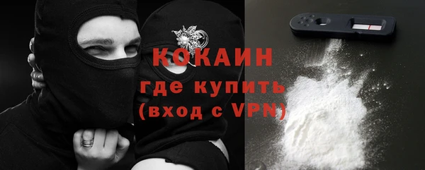 шишки Лиски