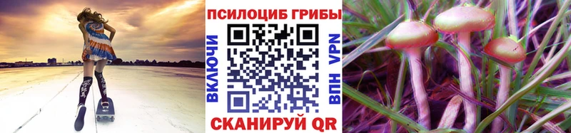 купить наркотик MEGA ССЫЛКА Галлюциногенные грибы MAGIC MUSHROOMS Кумертау